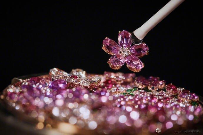 去年的日内瓦高级钟表大赏上，迪奥La D de Dior系列Buisson Co