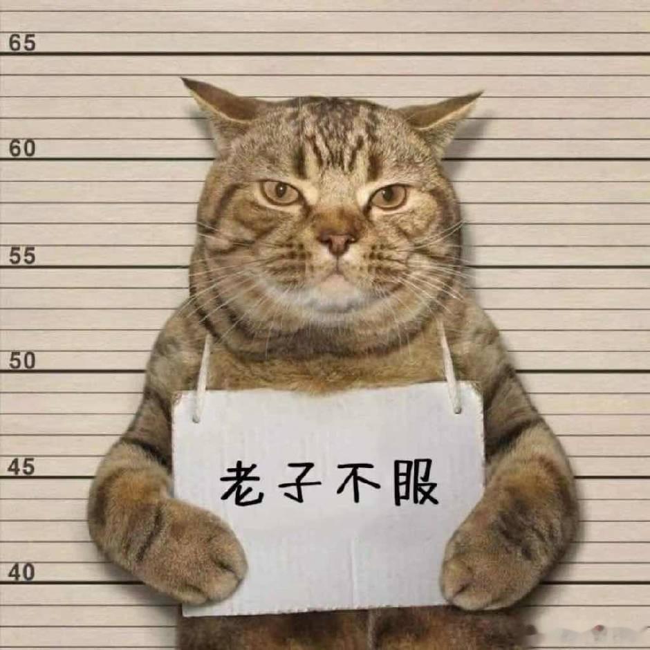 阿根廷队致敬佛得角 今年跟着花友爱上了世界杯，背后的故事真好，谢谢花友们 