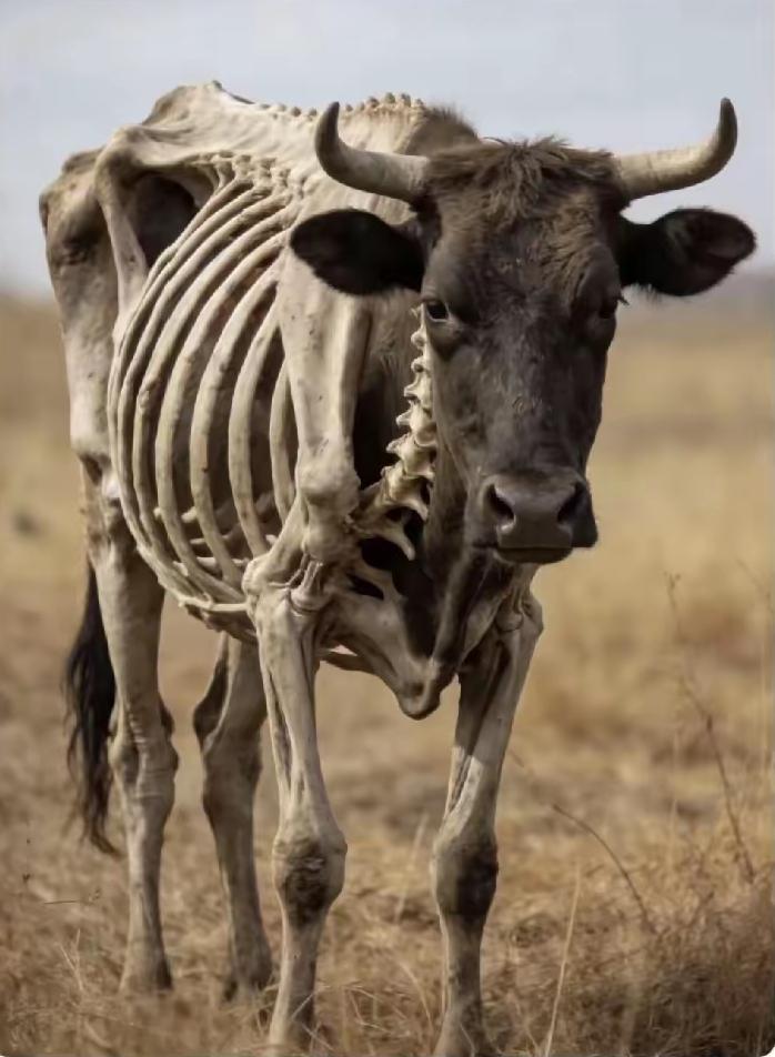 要相信，我们还是牛市。