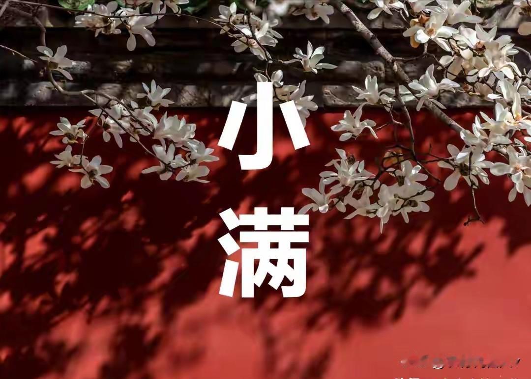 今日小满，记得：1不动、2不躺、3不开、4不洗、5不吃，别大意
 
今天是小满，