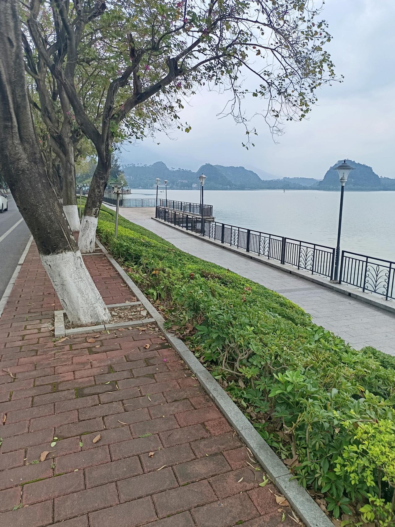 我终于知道了
为什么说肇庆是适合养老养生的
却依然没有什么年轻人过来



你敢