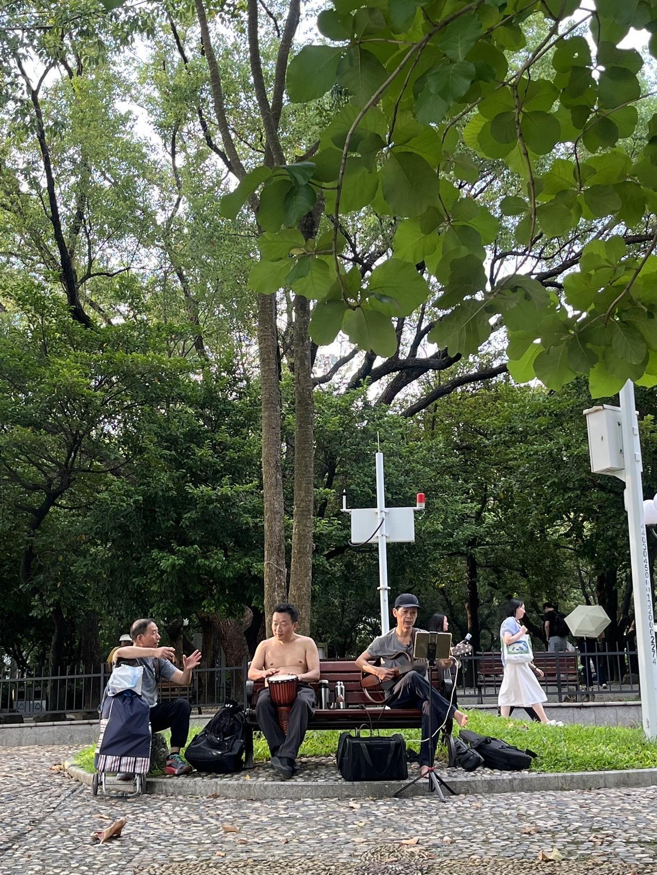 下午5点左右的深圳荔枝公园
午后的炎热退去，两三个人在长椅上演奏音乐🎶
城市公
