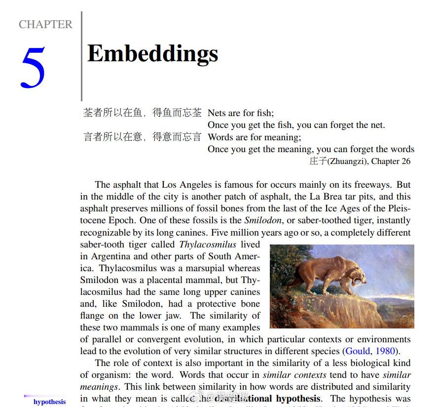 自然语言处理综述(SLP3, Jan 6, 2026)，第五章介绍向量化（Emb
