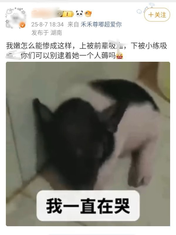 李松河fans这是在 nh 前辈韩维辰因为七颜一这个tag吸未出道男练的雪吗？ 