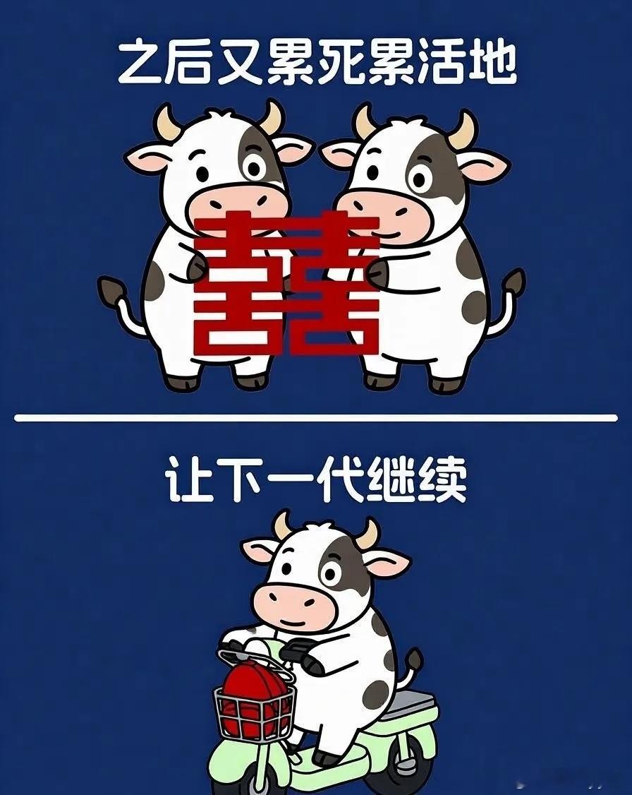 现在年轻人面临的最大的矛盾在于：自己已经认清了这种循环，并决定终止这种循环。但父
