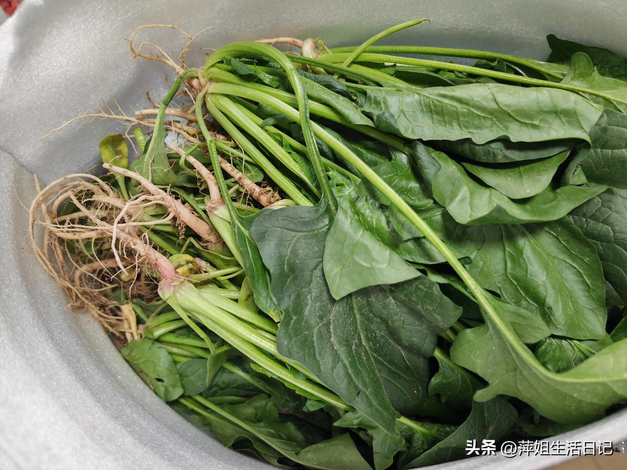 昨天傍晚大姑姐给我打电话问我在家吗，她说和姐夫刚从老家出发，一会儿到城里给我送点