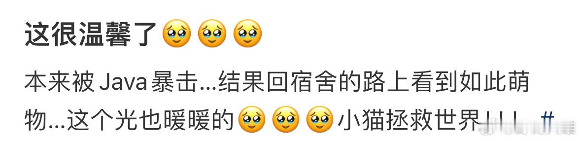 这很温馨了…🥹 ​​​