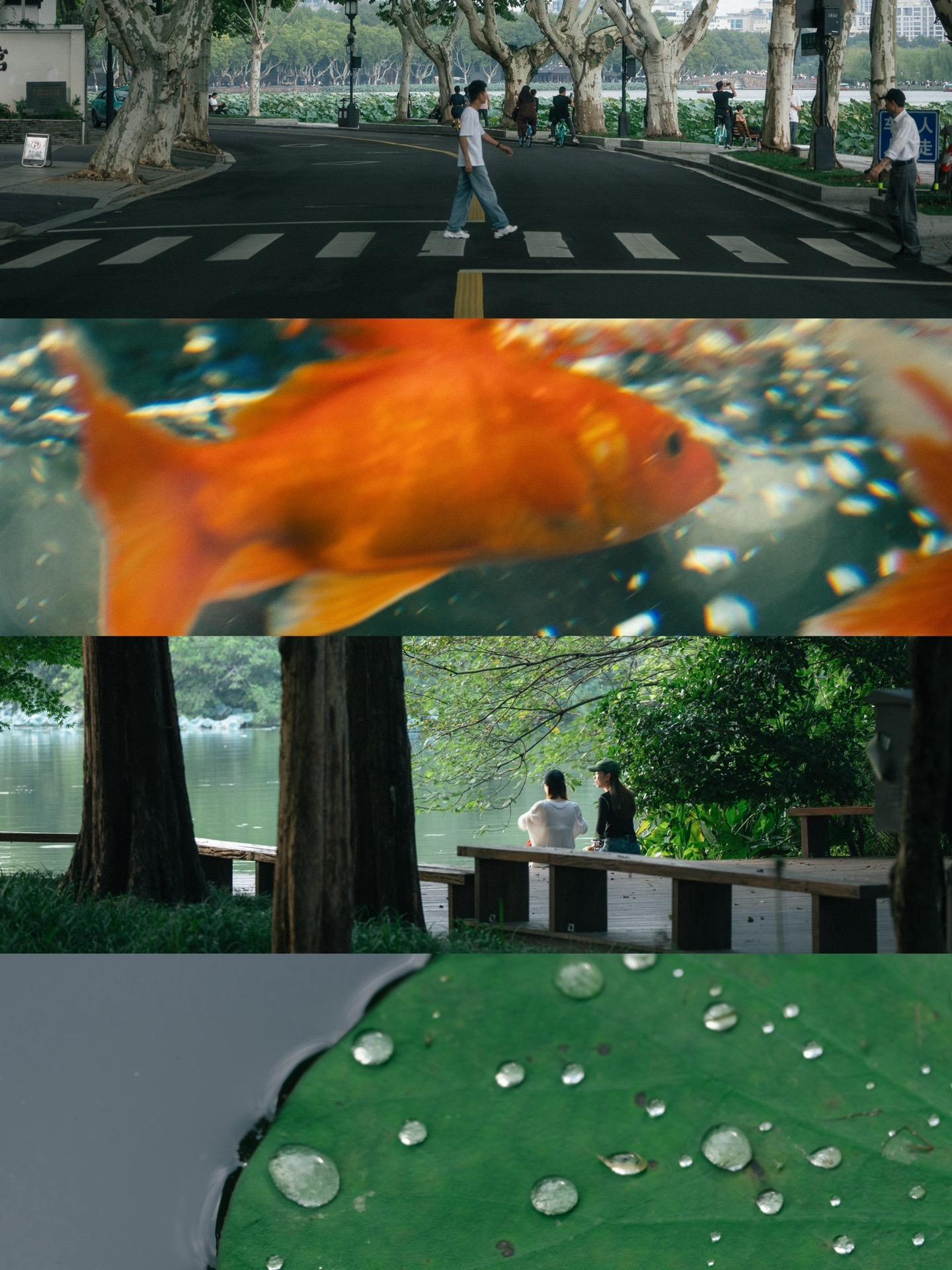 不加tag，又是谁会刷到呢…