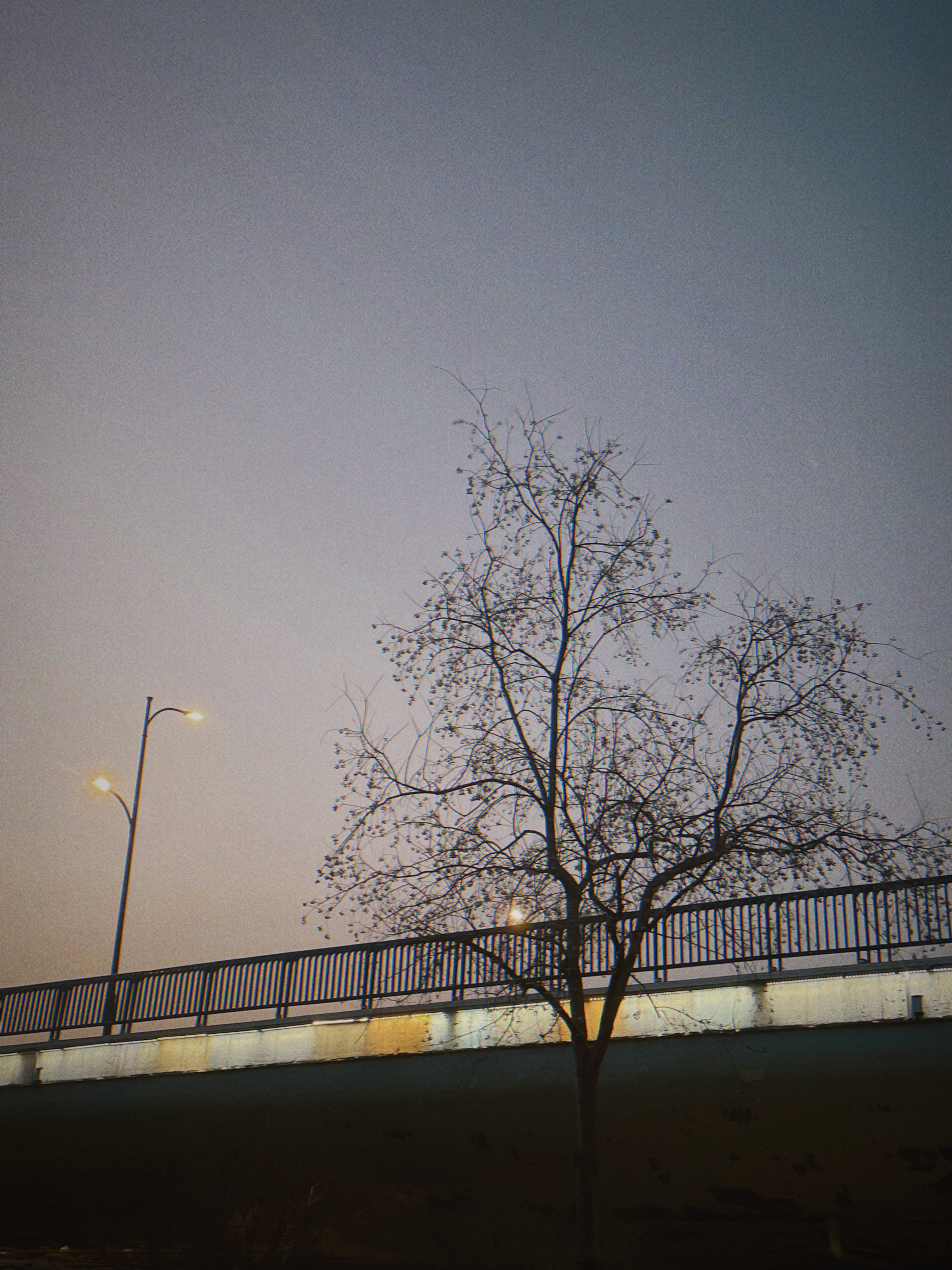 杭州今晚像春夜。 