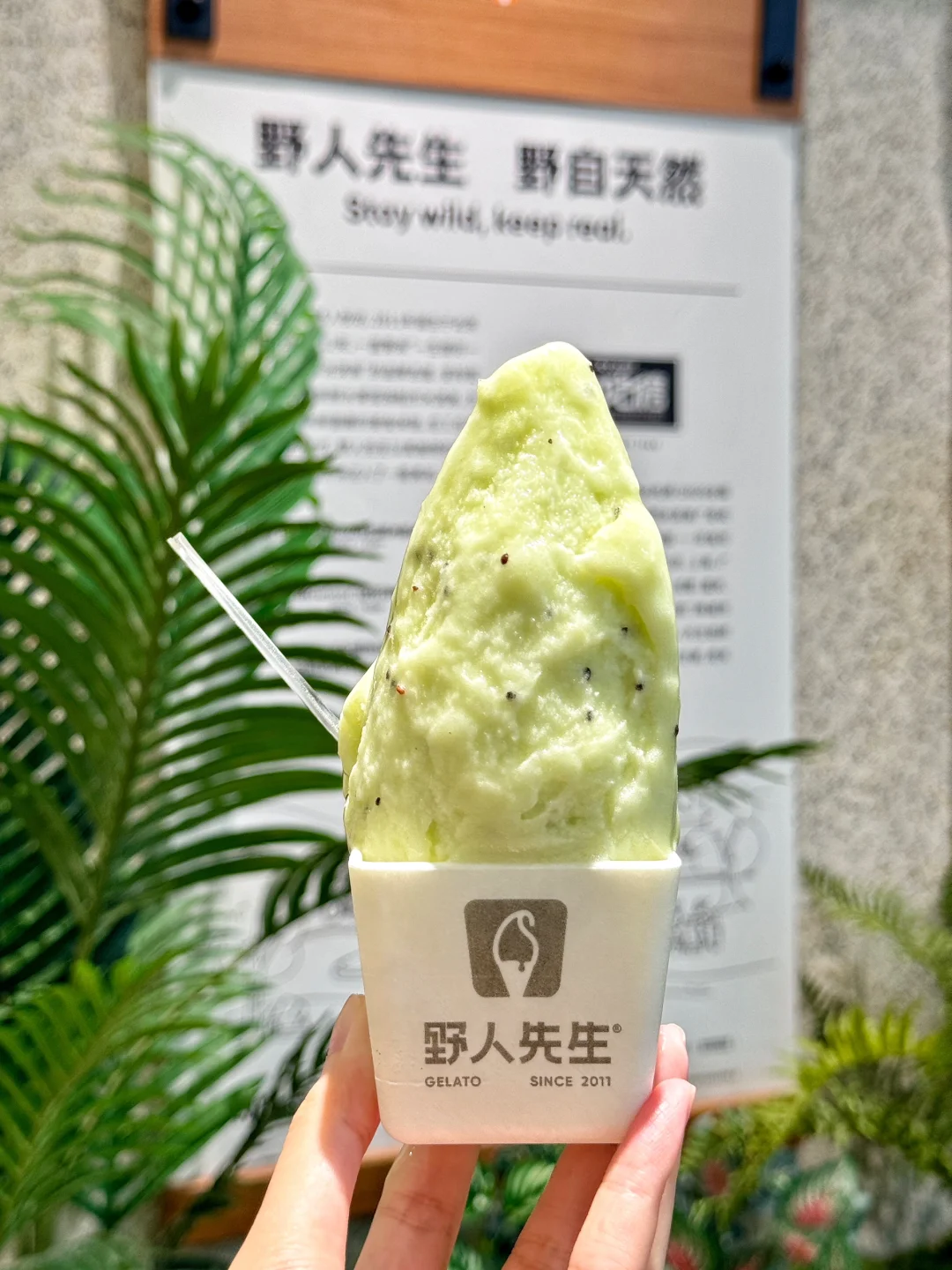 “野人先生”新品来袭🥝猕猴桃gelato甜到心坎