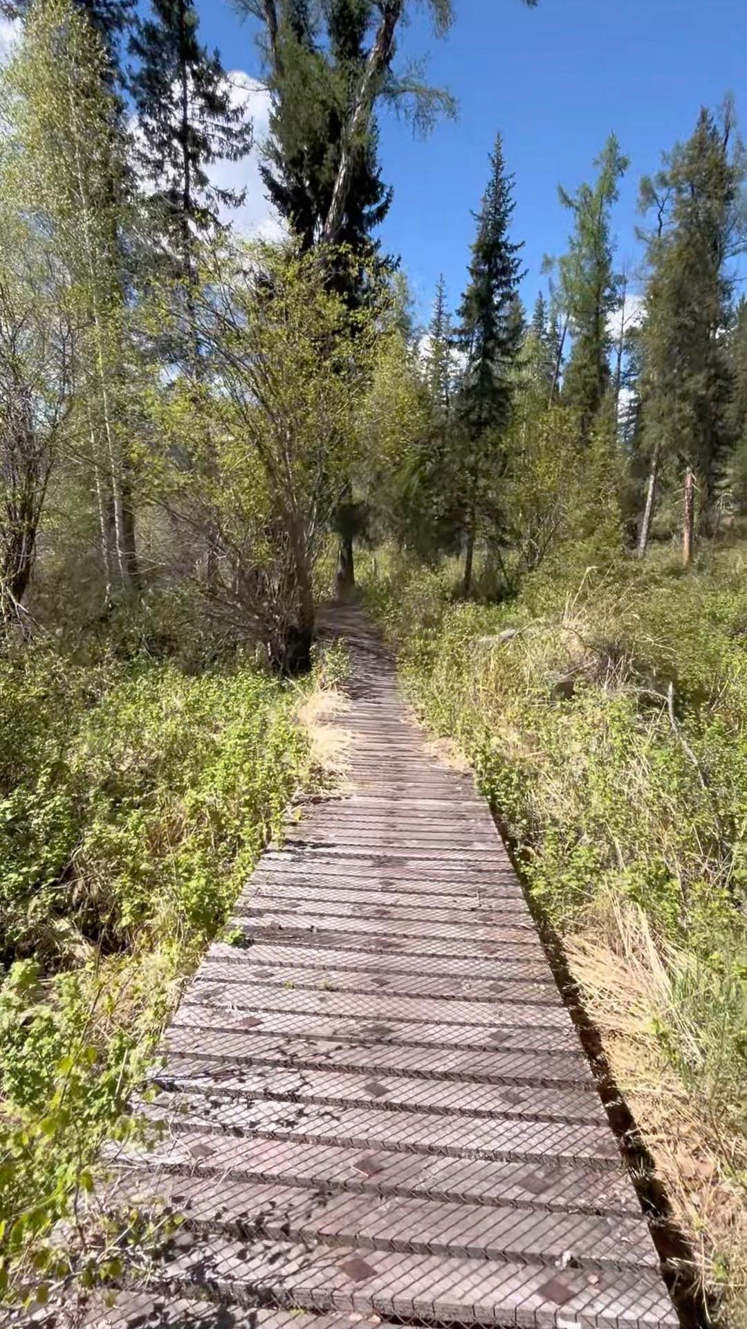 普通人没有父辈托举 只能在底层拼命挣扎 为了基本的生活耗尽一切力气 就...