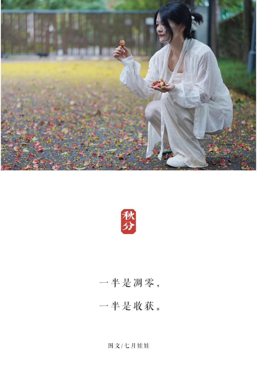【秋分】你等秋风起，我等故人归