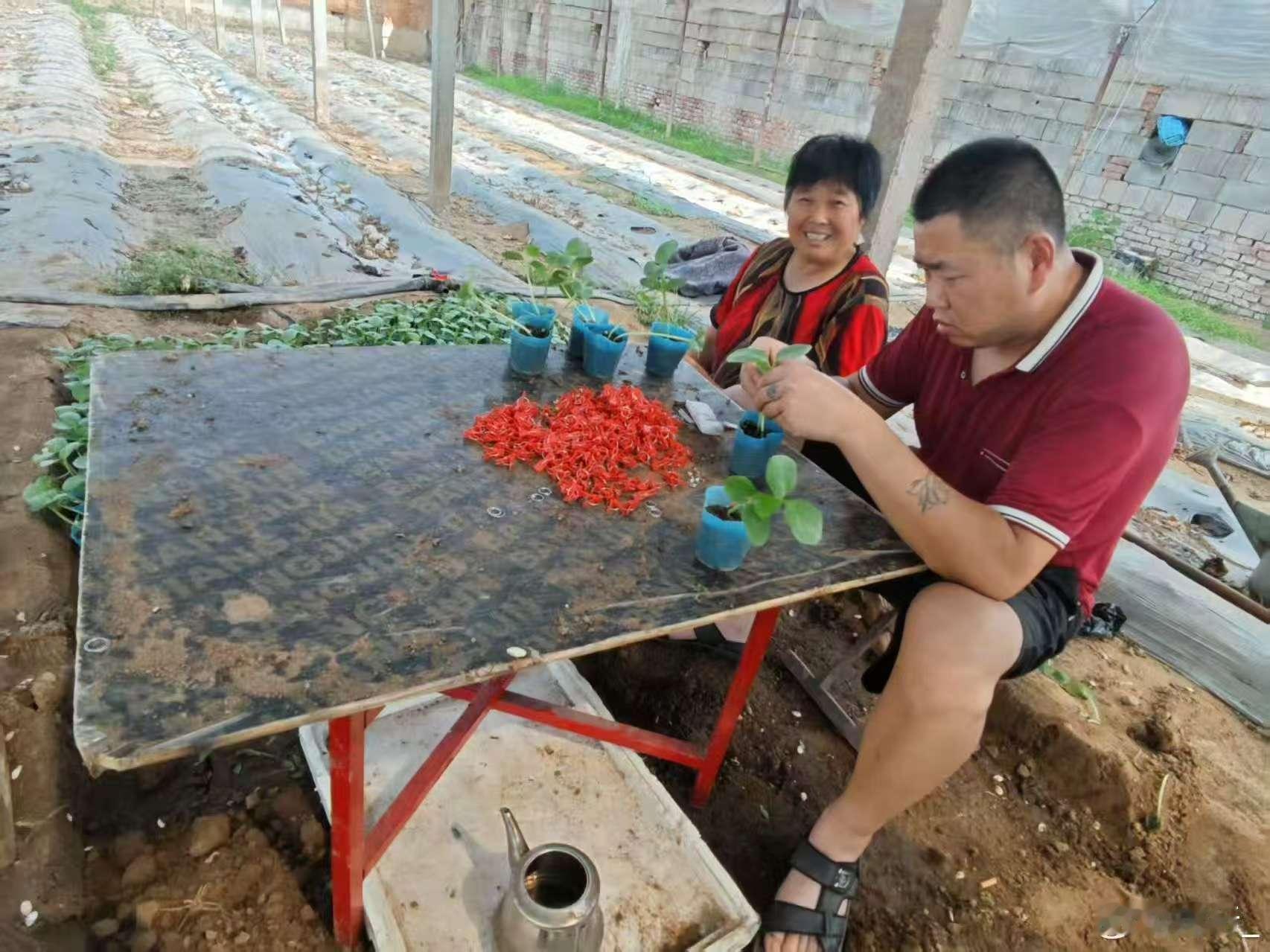 秦岭笑谈[超话]土地流转活水来 生态廊道筑粮仓在城镇化加速、农村劳动力转移的背景