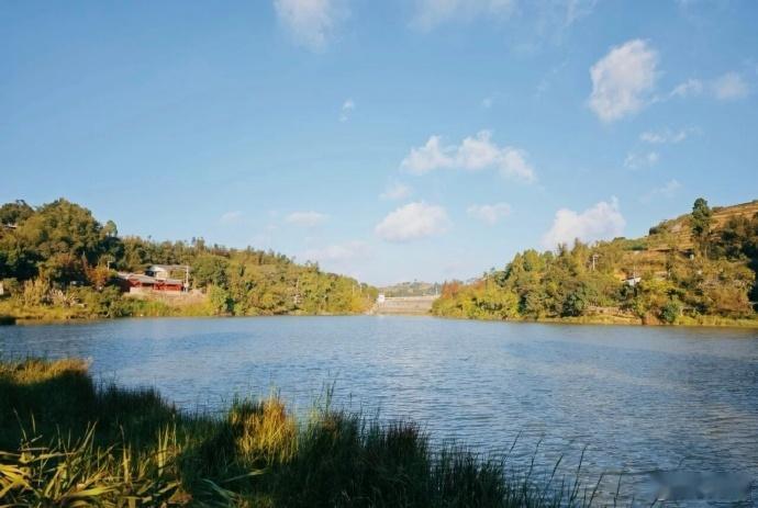 【随手拍鼓岭的冬天 】

随手一拍，就是大片~

via新浪微博@cicilyj