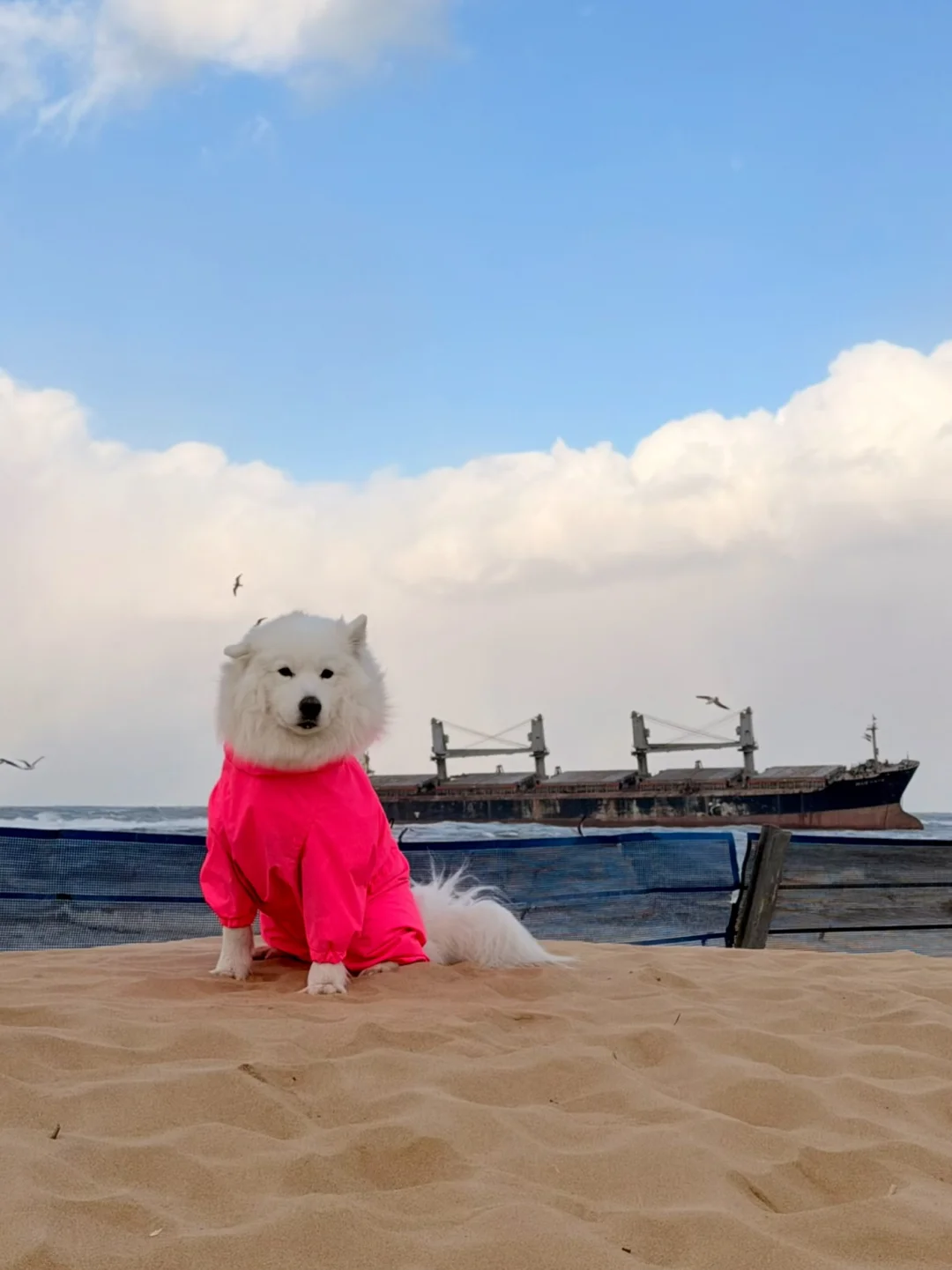 北风呼呼从哪来 她又呼呼往哪去