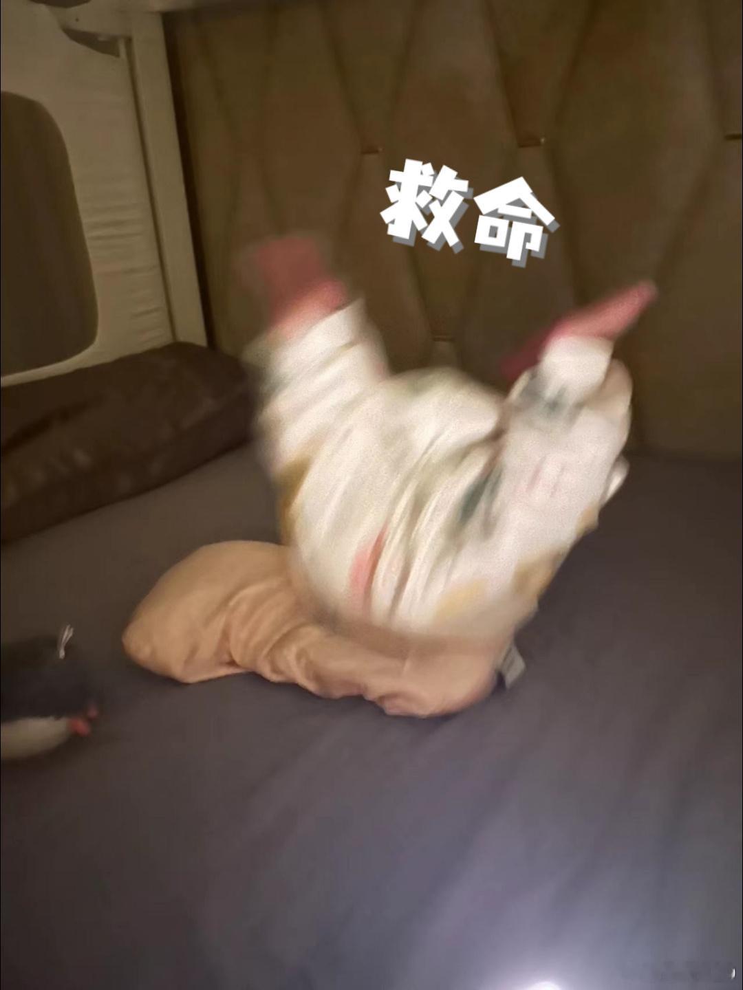 今天一直感觉嗓子眼儿苦苦的喝了好多水也不管用又自查又量体温又问豆包一顿折腾刚才发