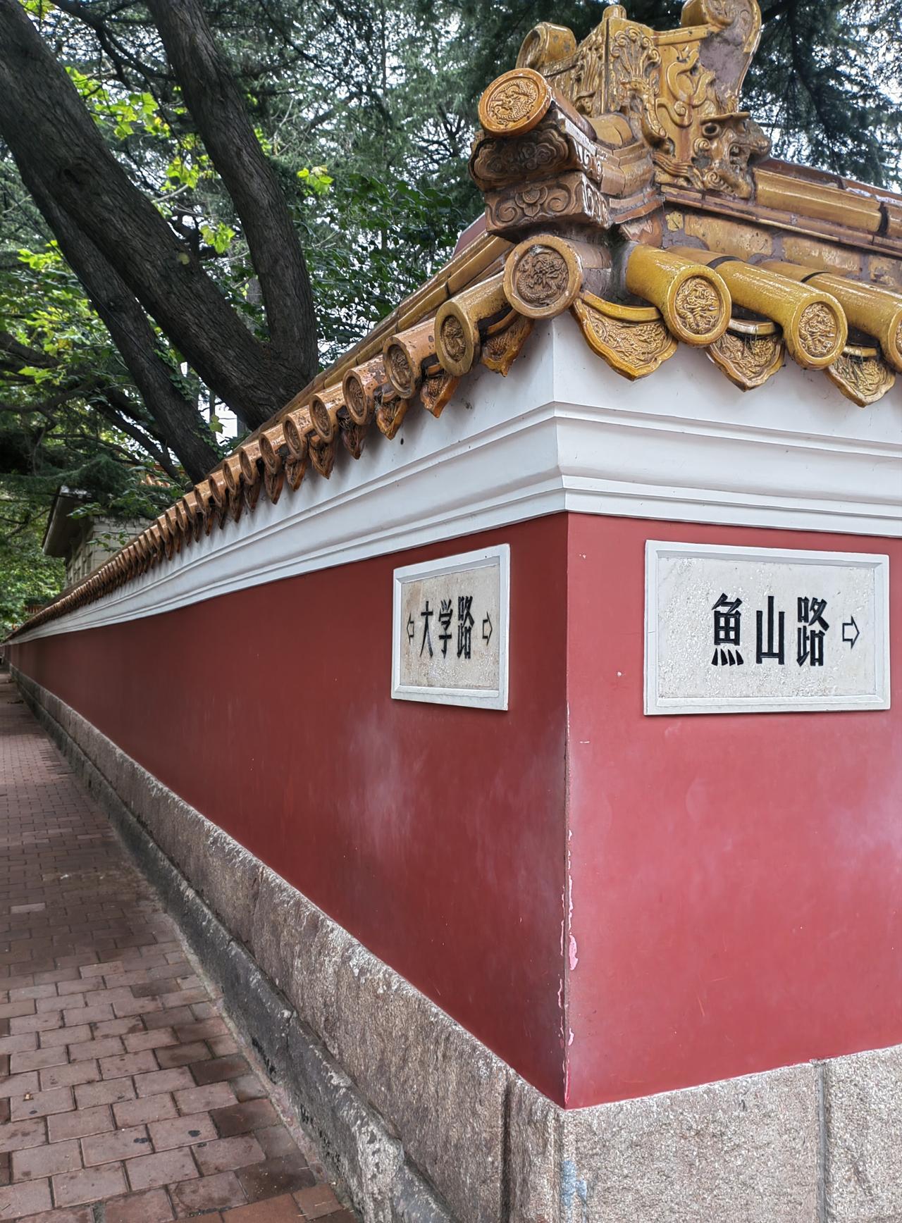 回家好几天了，还是静不下来，心里牵挂的只有一个任，还有那个遥远且美丽的城市🏙️