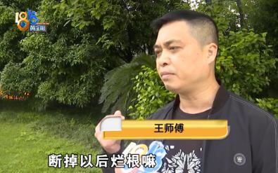 王先生花4000元的“一口价”种牙套餐，拔牙、消炎、种牙一通操作，承诺无痛却麻药