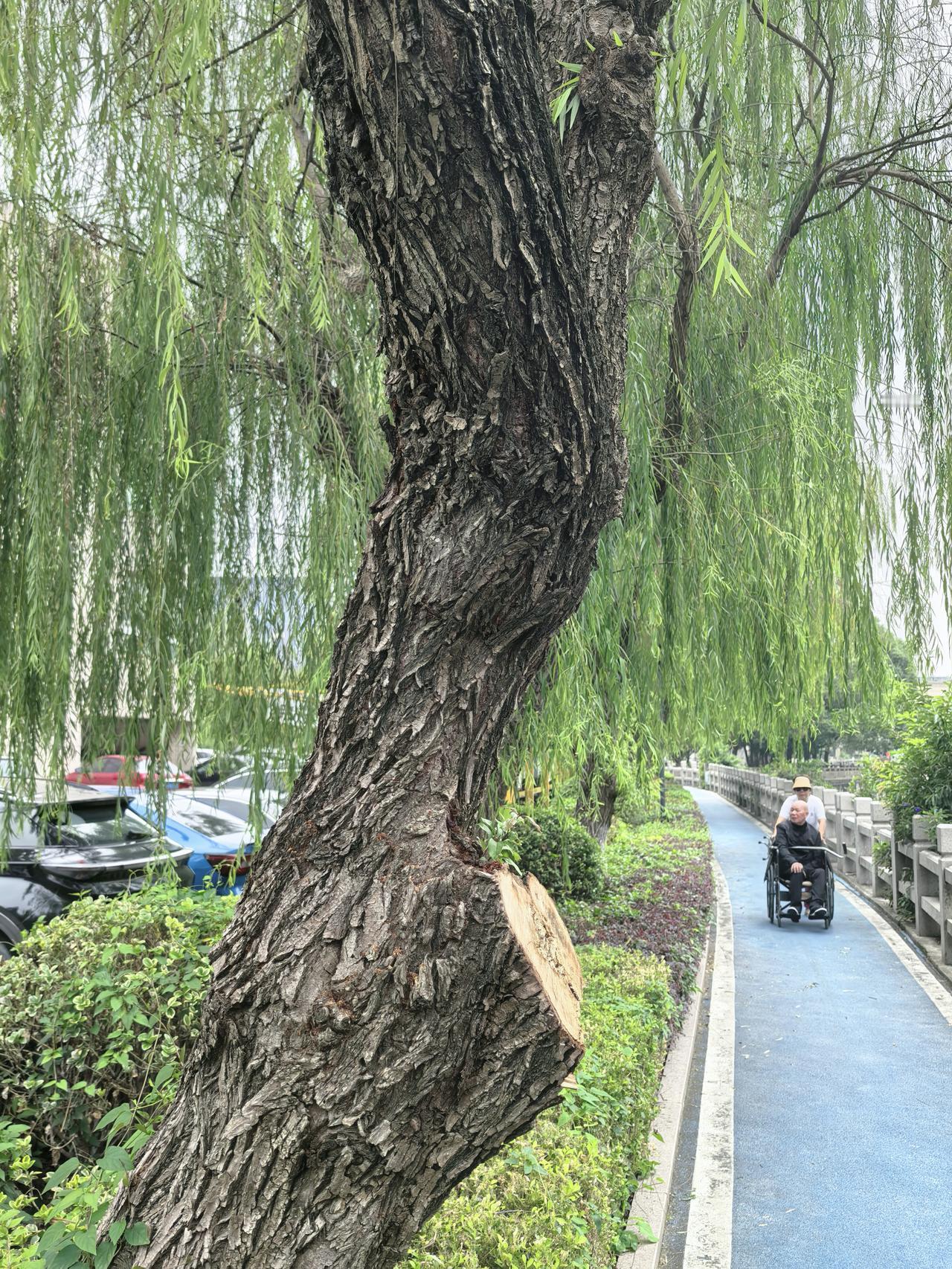 周末时光走两步随手拍