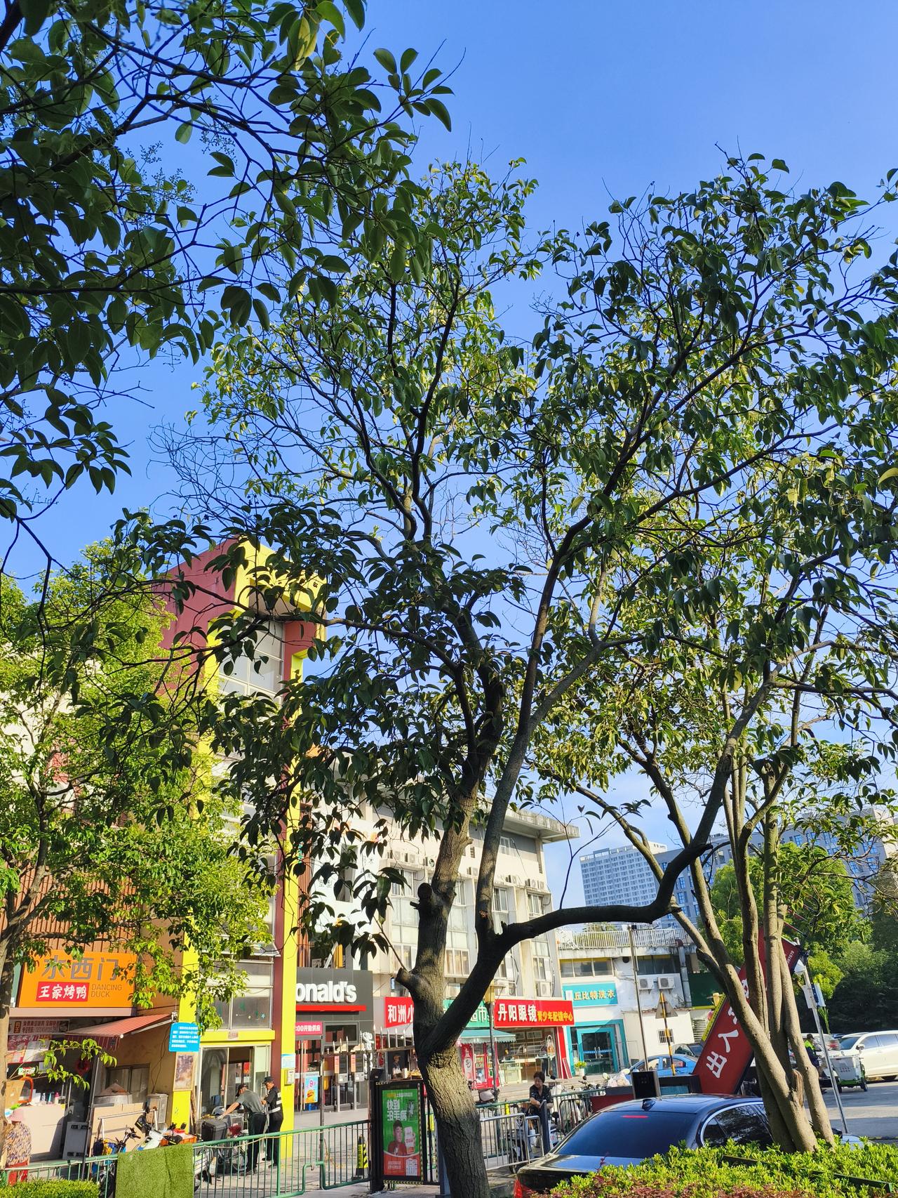 连续三天高温后，南京终于取消高温黄色预警啦！2026年7月17日15时49分，南