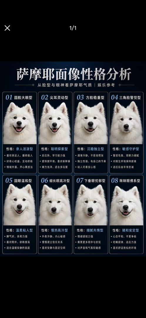 嘀咕真是2 