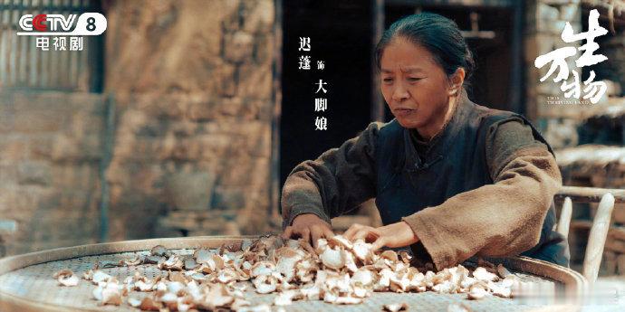 迟蓬口中的敬业，是对演员职业态度的最好注解。杨幂在片场的认真被同行看在眼里，这种