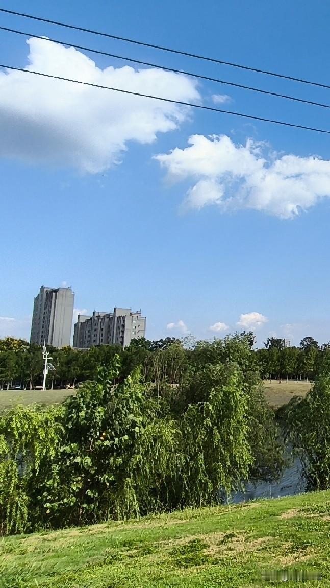 昨天还穿着短袖在路边摊啃冰粉，今天出门直接被风打了个措手不及。南京这降温真的是玩