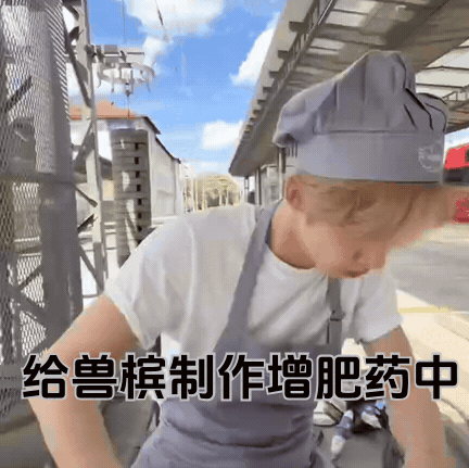 坏坏的笨笨的