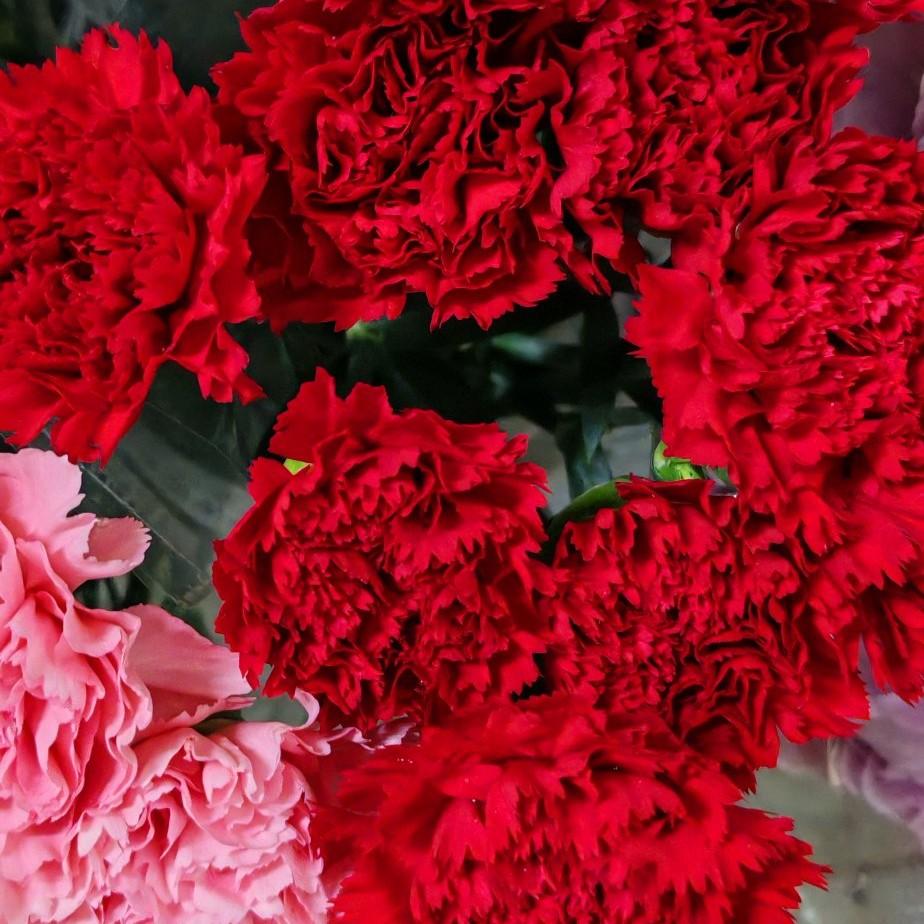 得人心者得天下，万斯上台没有能力、没有“建树”不说，现在搞的美军人连工资都没有了