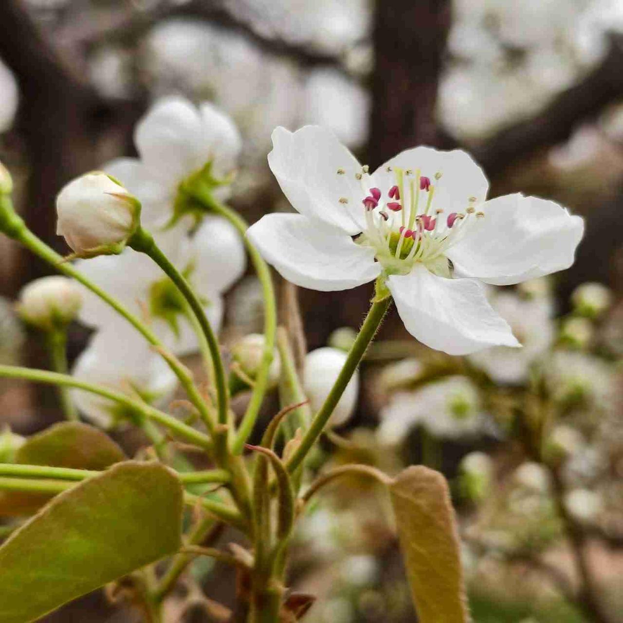我的今日状态：😁轻松愉快
我这里的天气：☀️晴天