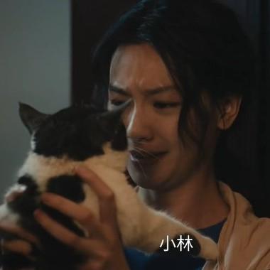 《交锋》中金丽娜在金兰陪伴下回到出租屋，她迫不及待地喊小林，这是那只她收养的猫的