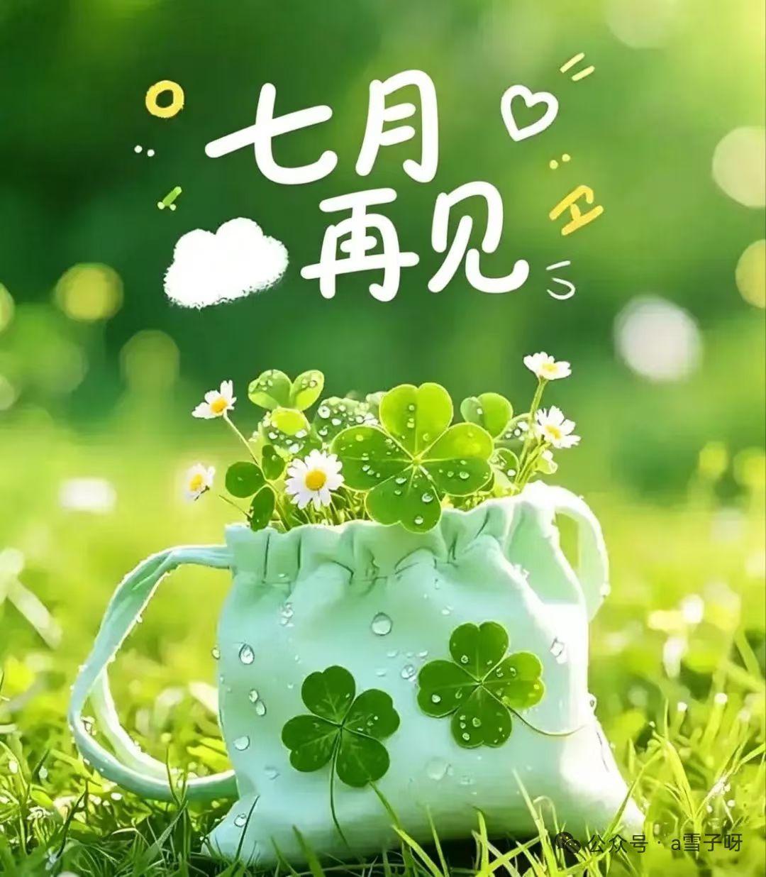 [玫瑰][玫瑰][玫瑰]收官七月，无论这一月是忙碌或是清闲，酸甜苦辣都已成回忆。