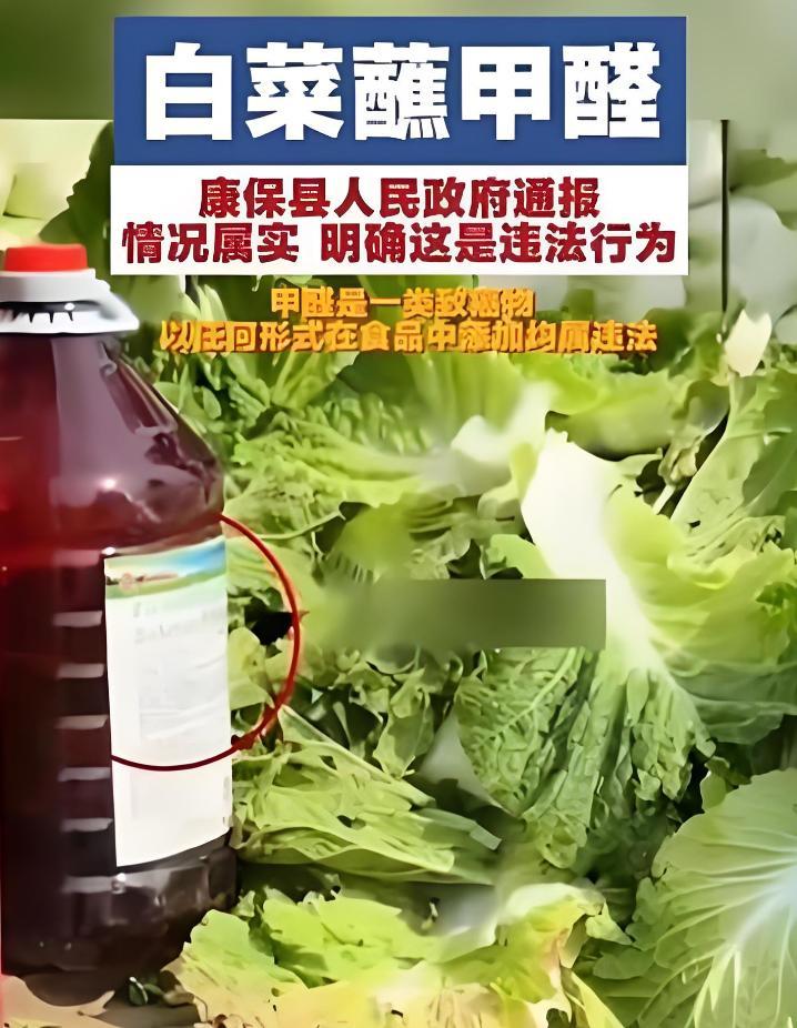震惊！白菜装车前竟往“甲醛桶”里蘸！人民日报怒评：从速从严，别拿老百姓的胃开玩笑