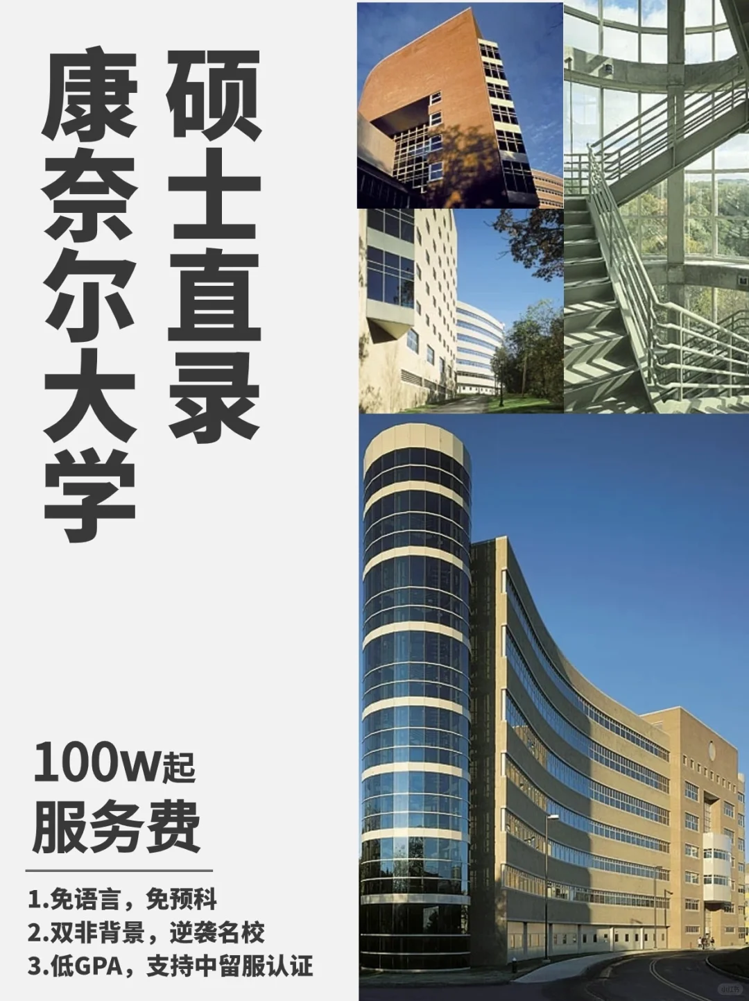 爬藤秘径💫 直录康奈尔硕士❗️