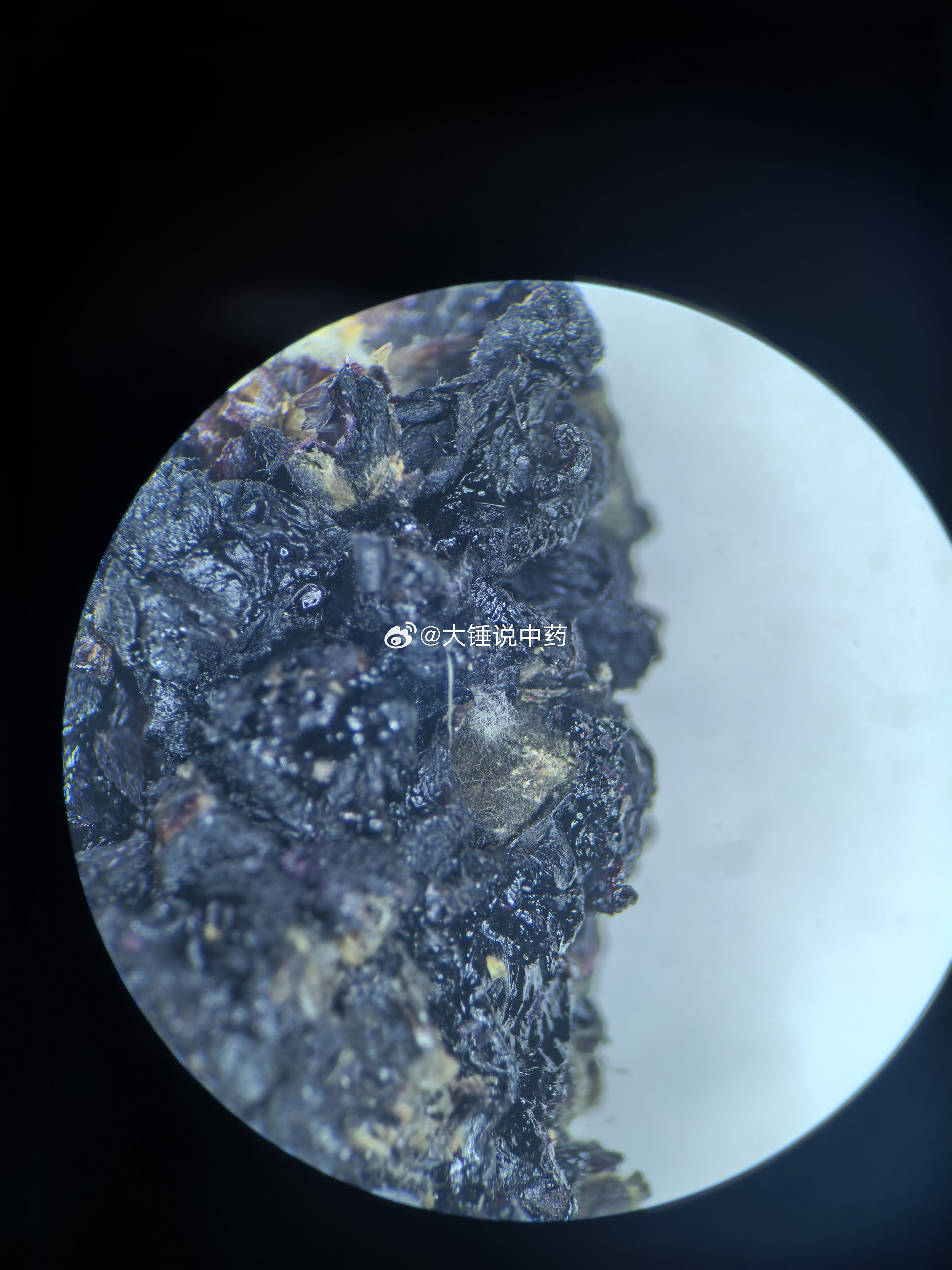 搞中药鉴定，除了有基本的中药鉴别和评价能力，还要擅长用一些工具来增加眼观的能力。
