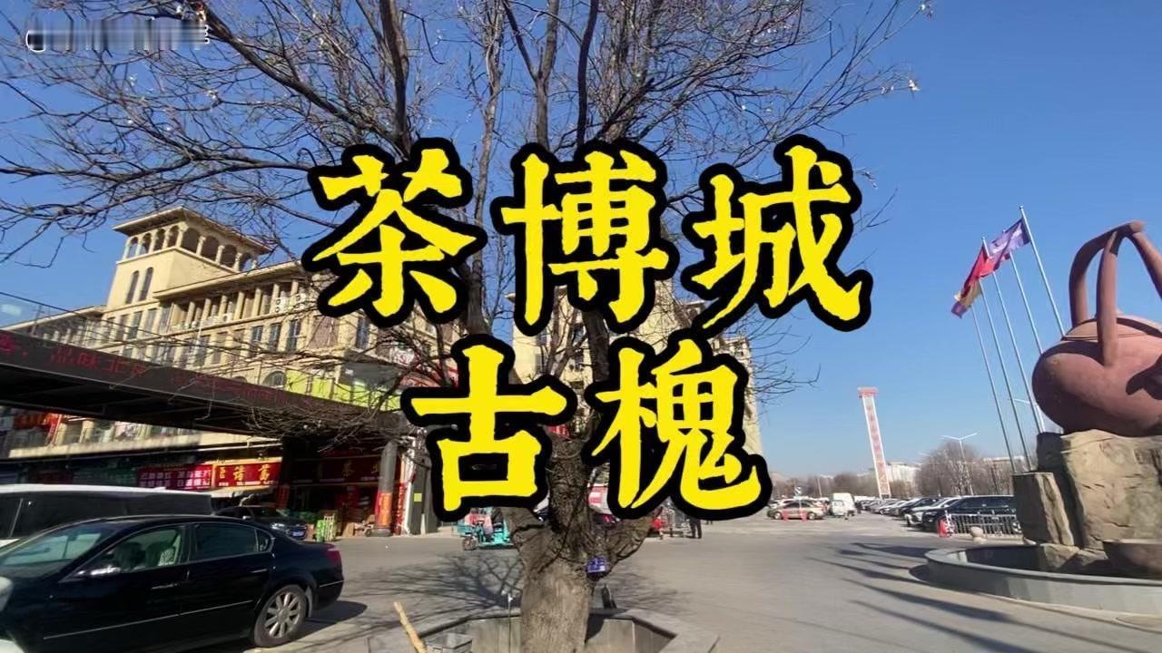 🌳地址：
山东省潍坊市潍城区南关街道青年路南段。

🌳概述：
1️⃣门口正对