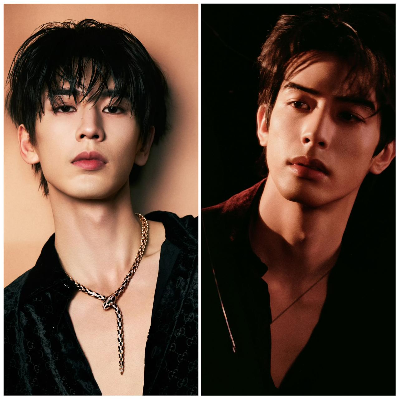 微博之夜的红毯好热闹啊，张凌赫和宋威龙这两位贵公子一亮相，直接让全场沸腾！

张