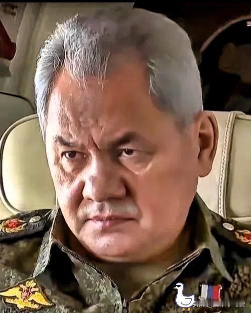 俄罗斯传来消息：

4月16日，绍伊古直接摊牌了！

这位俄罗斯大佬放狠话：乌克