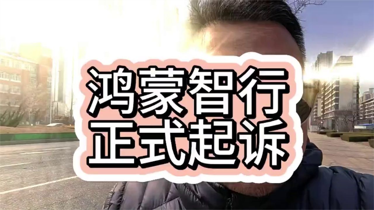 鸿蒙智行终于出手啦！#鸿蒙智行
