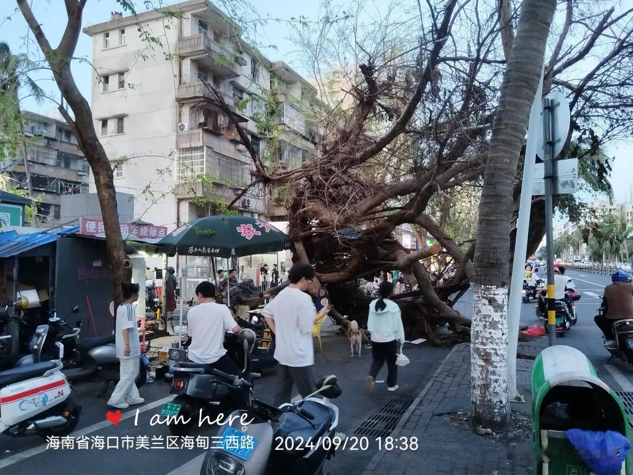 海南大学南门艺术节
海南省海口市美兰区海甸三西路，海南大学南门出来转弯处有一家电