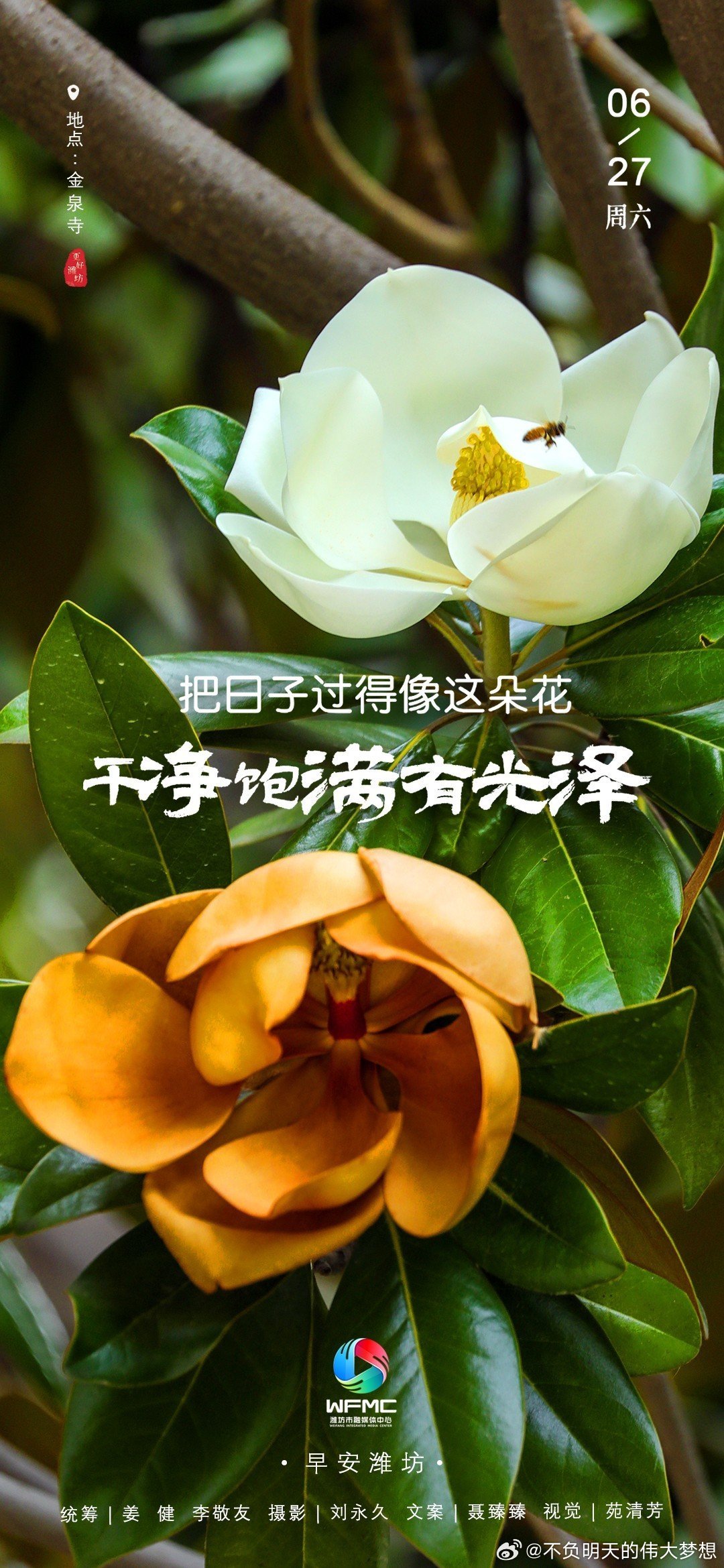 早安 晨光破晓，万物新生。把琐碎留在昨夜，带着善意与期待前行。愿今日平安顺遂，所