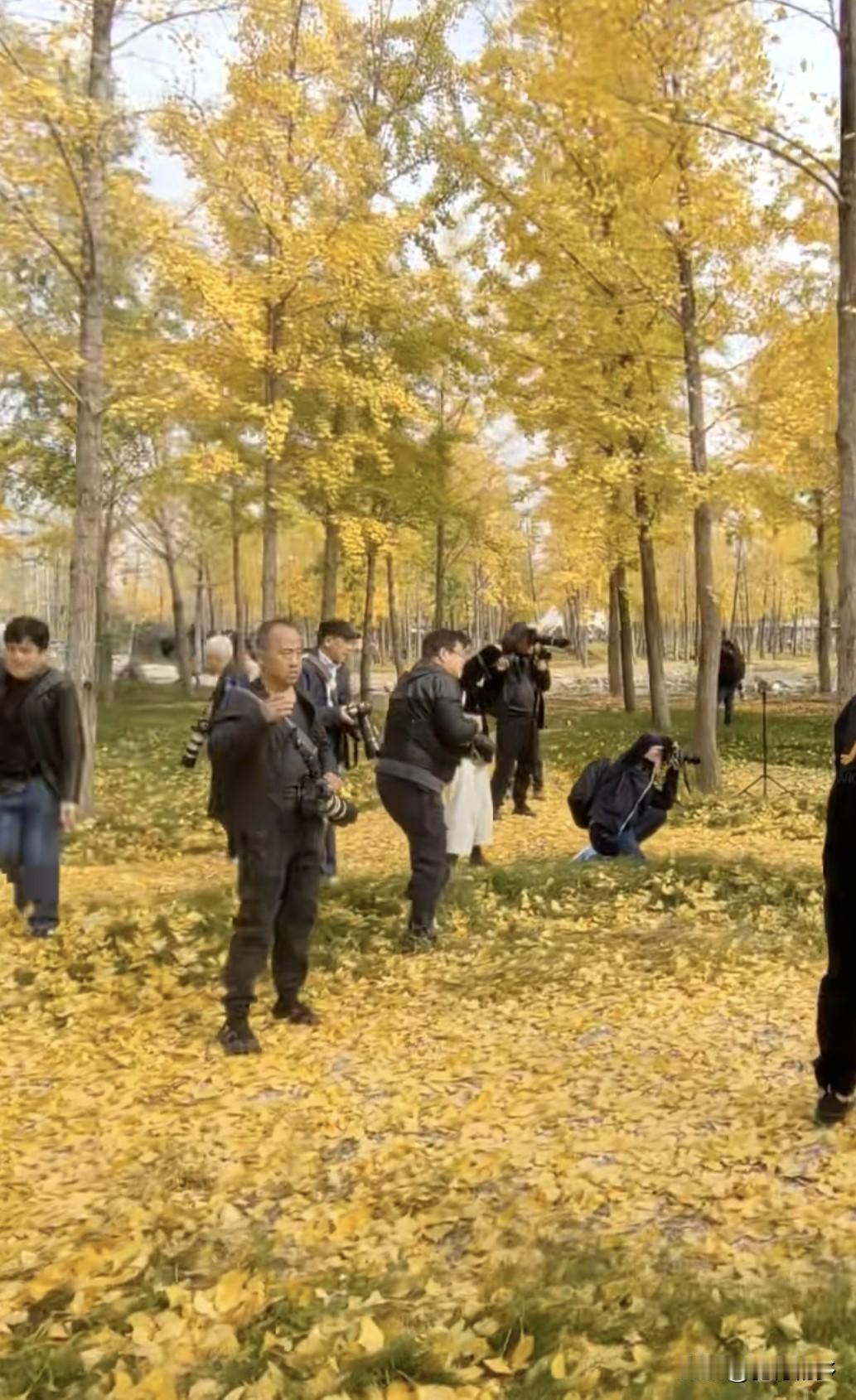 金秋，咸阳华浪生态露营基地涌进了好多“摄影师”，他（她）们举着相机，或拿着手机，