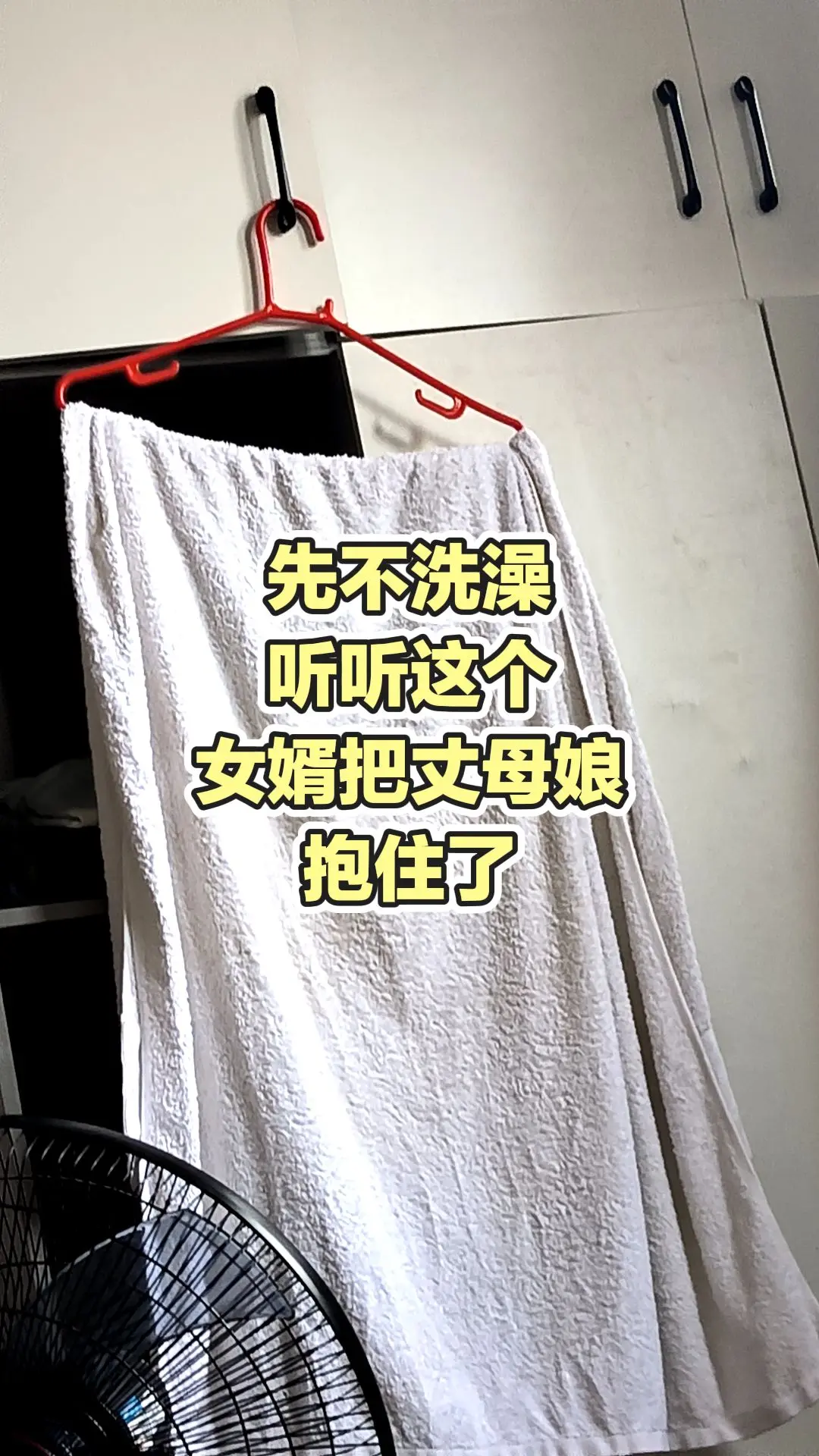 每日分享