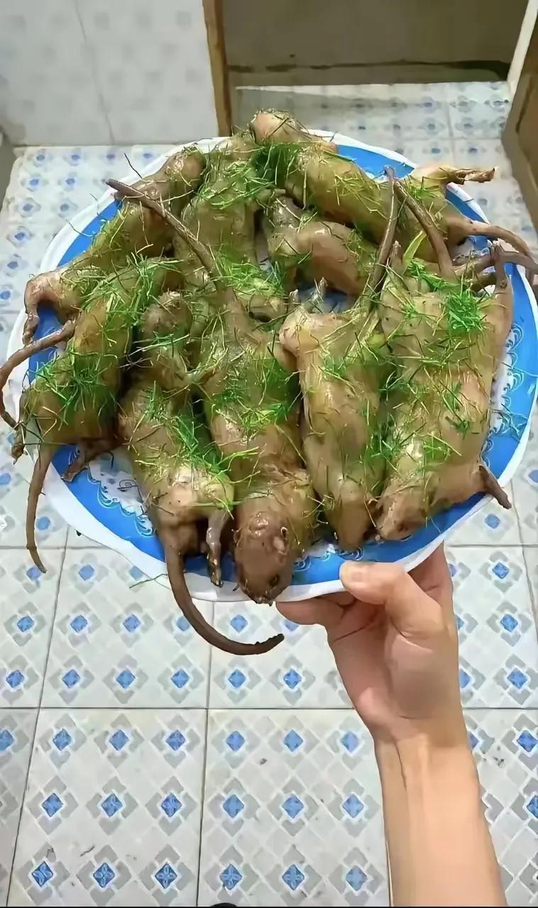 乖乖，各地美食不一样，有的我看了害怕！美食也是一种文化，山东吃鸡，南京吃鸭，扬州