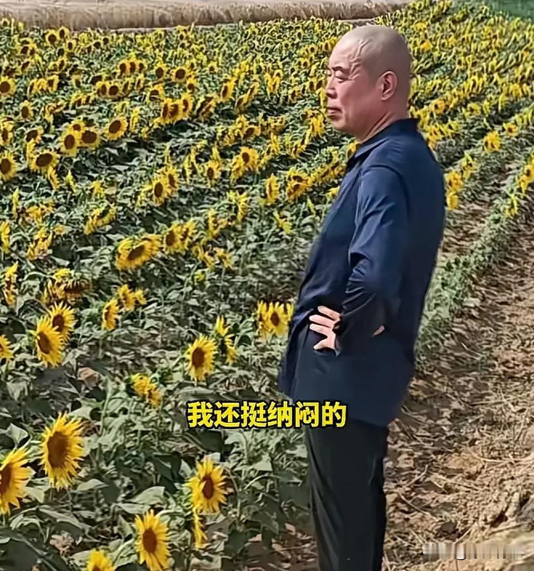 这是遇到盗版向日葵了？
第一次见向日葵背对着太阳的...
向日葵都是面朝太阳的，