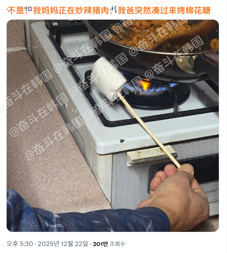 目击妈妈爸爸谈恋爱现场（？） 海外新鲜事 热点现场