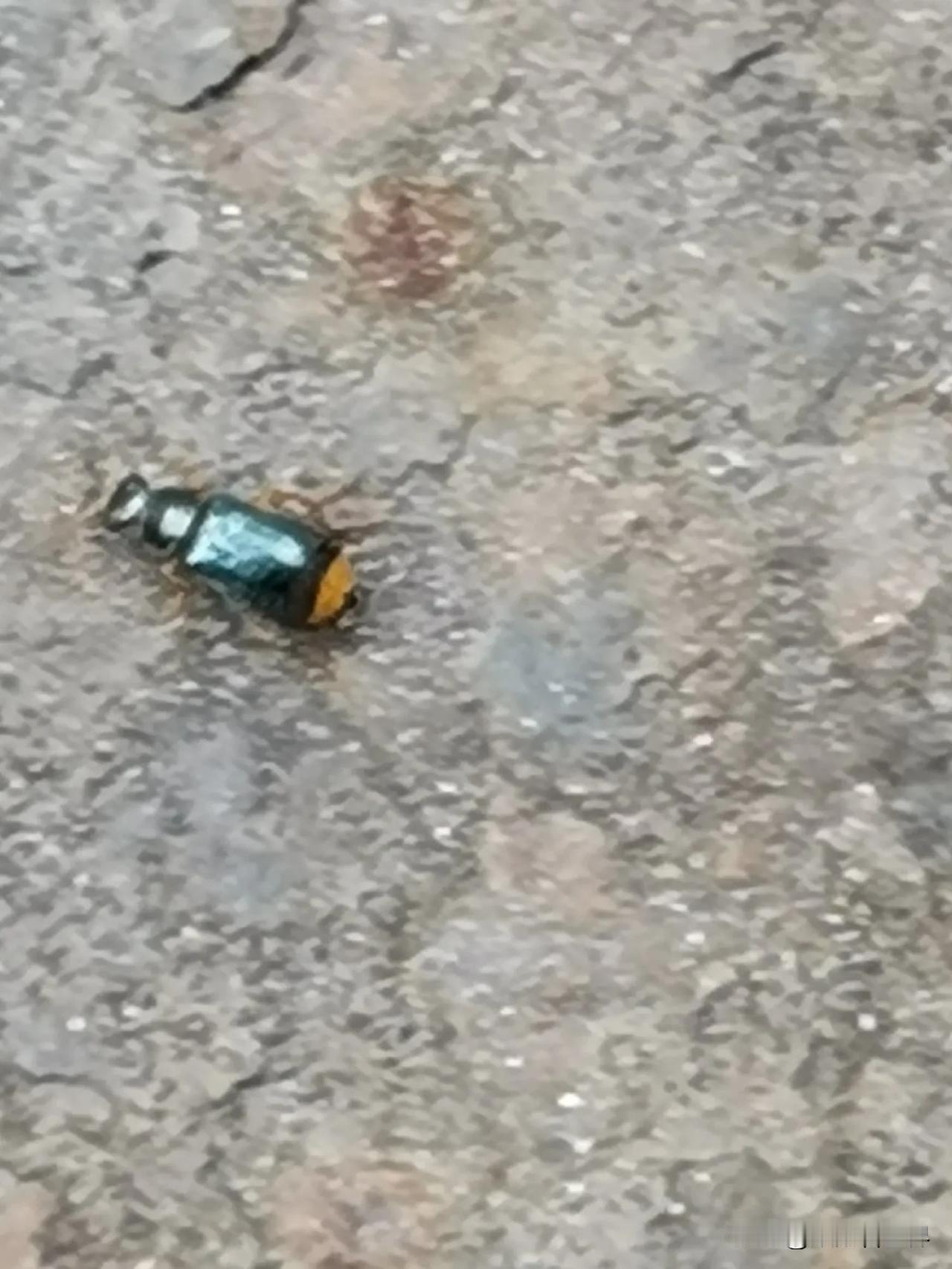 今天被这虫子咬了，很小的虫，也就2-3mm大小，什么时间趴我胳膊上的都不知道，咬