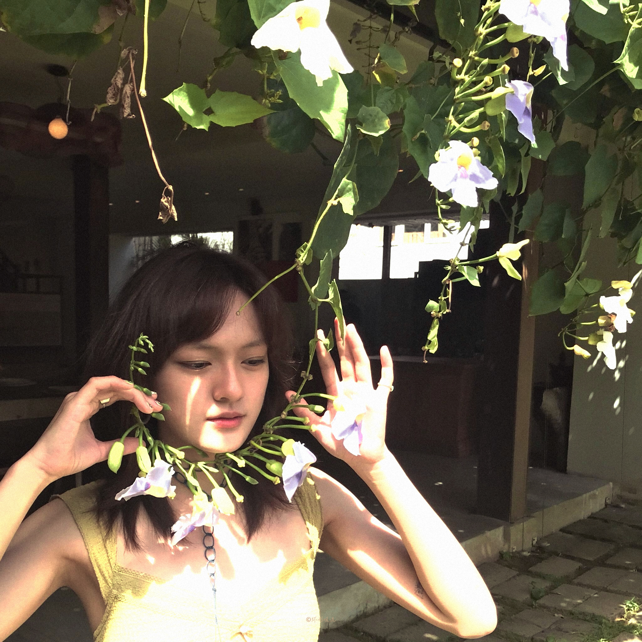 文淇𓇼 ೀ ‧₊˚🌳🪴 