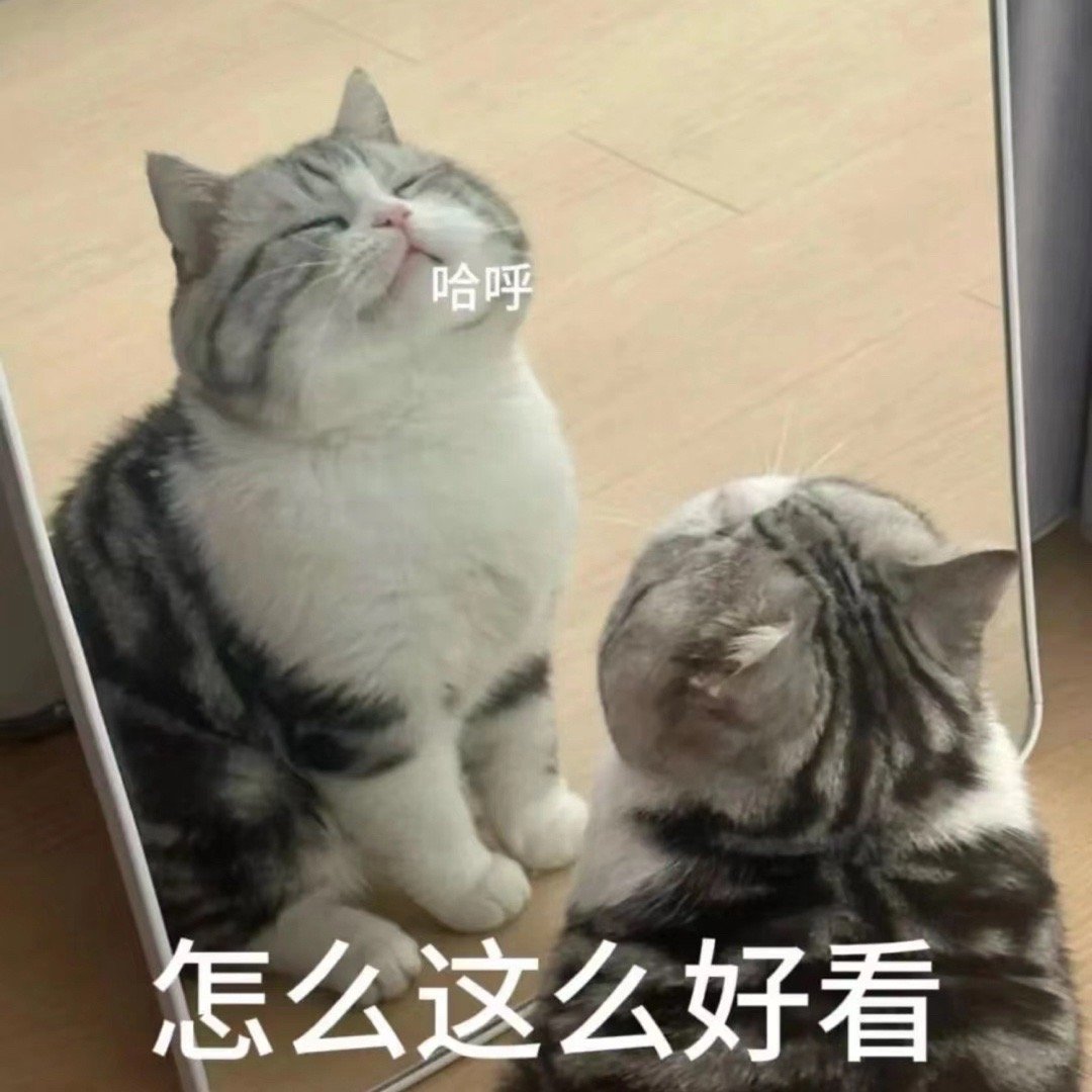 #日常的路人a# 今天看了汪哥发来的视频，问A你听得懂汪他们说什么吗？A看了一下