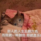 嫩乎乎爱看科技